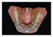 sec3_image